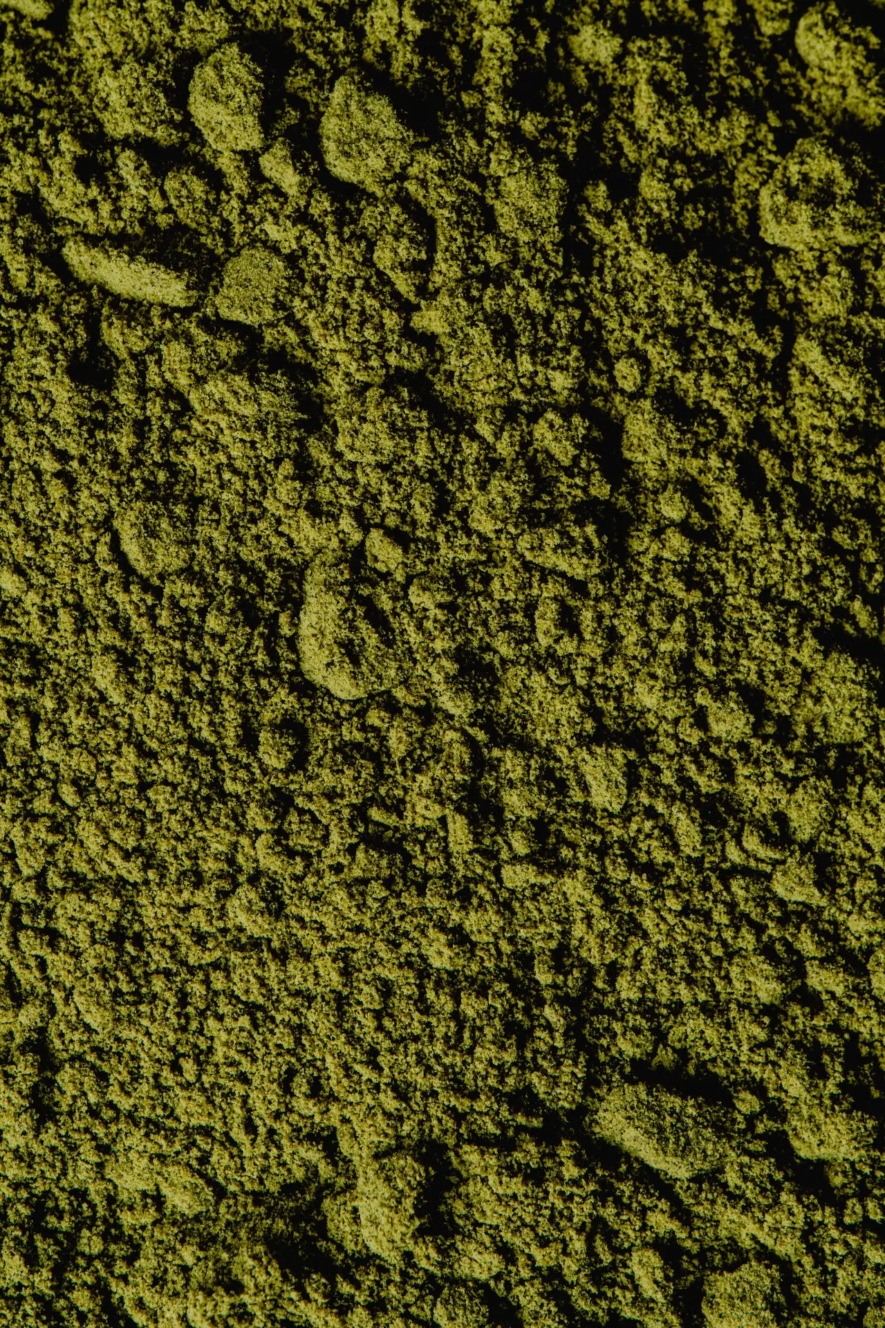 loose green matcha powder